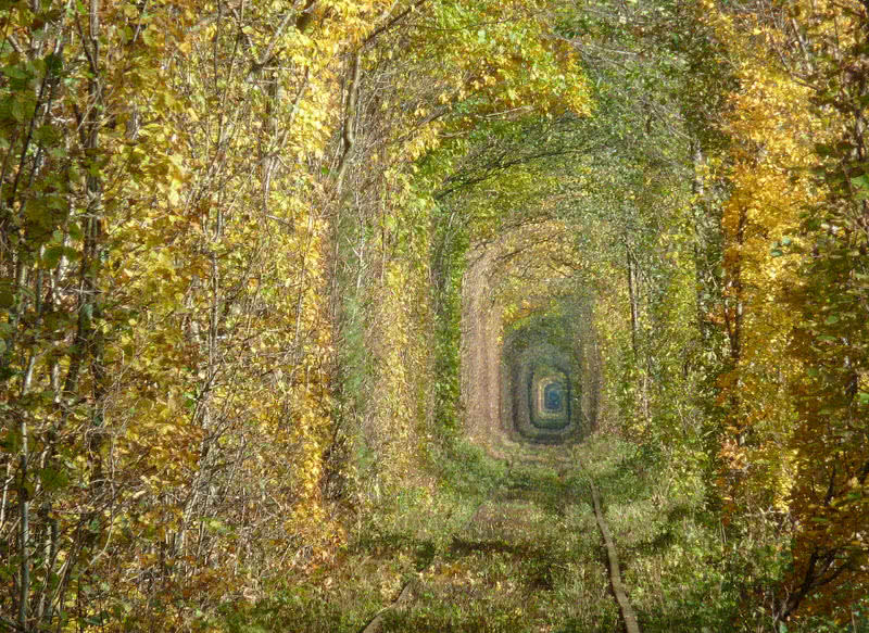 Tunnel of Love